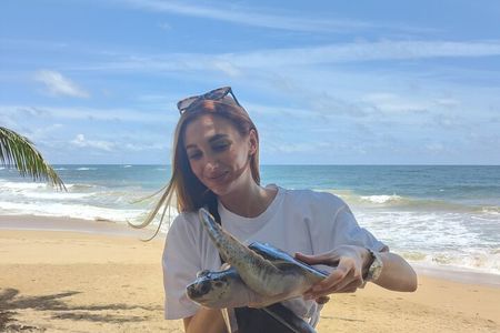 Galle Day Tour from Colombo/Negombo by Private Car or Van