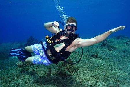 1 Tank Guided Shore Dive
