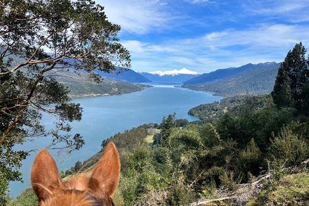 Esperanza Valley Horse ride.