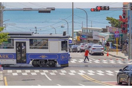 Private Car Charter Tour in Busan City
