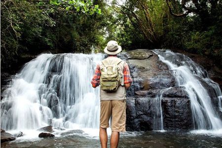 Sinharaja Rain Forest Day Tour from Mirissa, Galle, Bentota Area