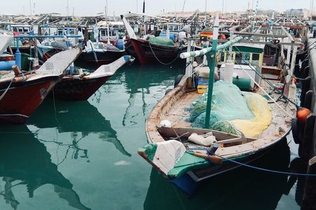 North Qatar Guided Expedition to Nature Charms