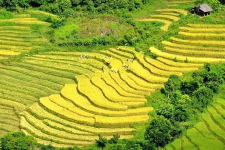 From Sapa: Sapa Trekking Private Tour With Female Ethnic Guide
