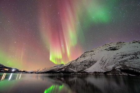 From Tromsø: OFFICIAL Northern Lights Safari