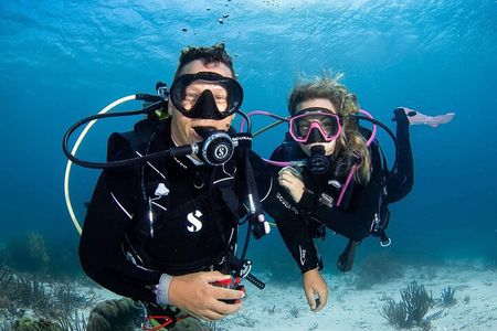 guided Shore Diving in Bonaire Marine Park with 2 Dives