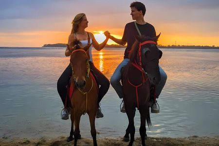 Gili Air 1 Hour Horseback Beach Adventure