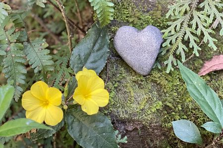 4 Day Yoga Hiking and Sound Healing Retreat in Nepal