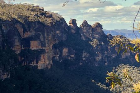Blue Mountains and Australian Native Animals