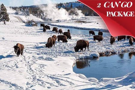  Yellowstone & Grand Teton National Parks Winter Tour: Small Group 4-Day Tour