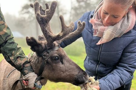Small Group Fishing, Lunch& Reindeer Farm Visit in the Wilderness