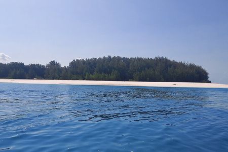 Mnemba Island Snorkeling and Dolphin tour
