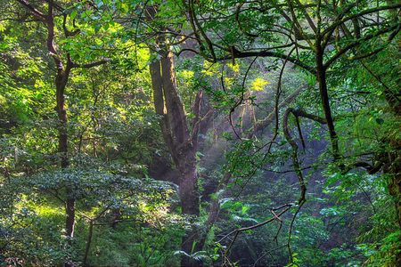 Private Tour Diria National Park Unspoken Hiking and Nature