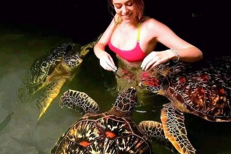 Full - Day Private Zanzibar Tour with dolphins & Sunset Beach
