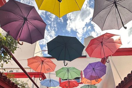 Private Walking Tour of Buenos Aires South Neighborhoods