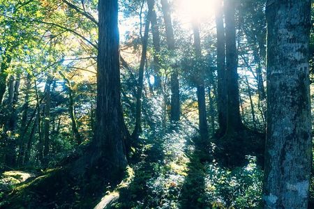 Fuji Photo Tour