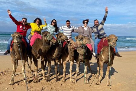Discover Tangier in a Full Day Tour with Camel ride