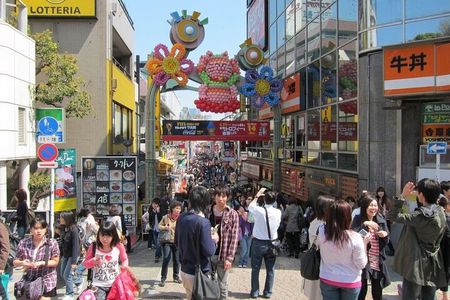 Tokyo Private Tour with English Pro Guide in Luxury Vehicle