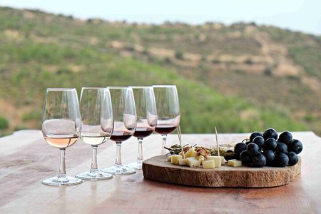 Private Full Day Wine Tour in Cape Town