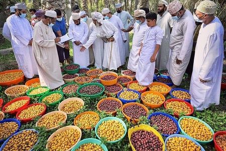 Full Day Friday Nizwa Animal Cattle Market & Jebel Akhdar Tour