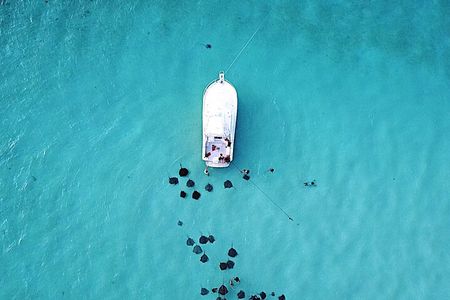 Private Charter 34ft Express Cruiser Stingay City Reef Snorkeling