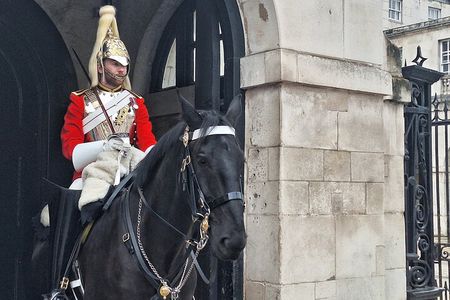 2h Royal London Walk: Buckingham Palace, Westminster & Big Ben