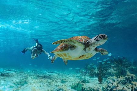 Tulum, Snorkeling with Sea Turtles, Cenote and Beachside Lunch