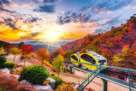 Pocheon Art Valley & Fruit Picking Day Tour from Seoul(EG Tour)