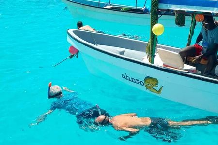 Mnemba Island Snorkeling and Swimming with Dolphin