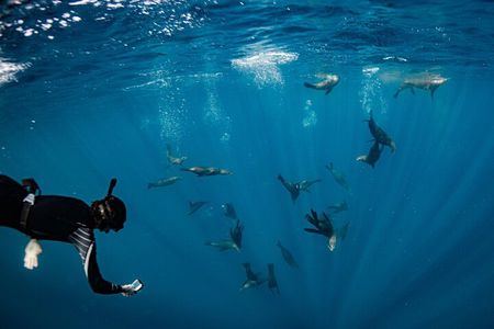 Snorkeling Tour - San Jose del Cabo