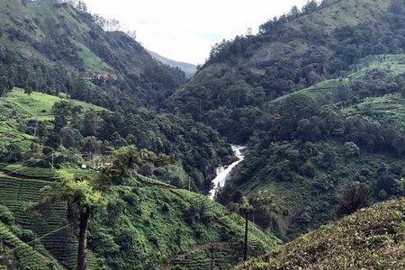 Private One Week Kerala Tour