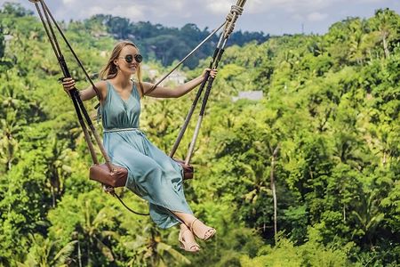 Ubud Tour with Monkey Forest Waterfalls Temples and More