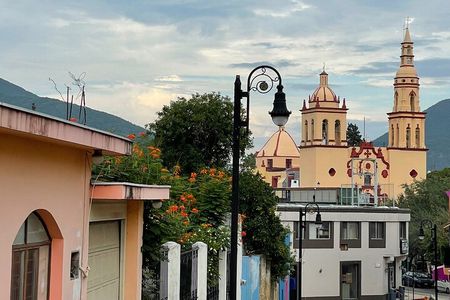 Private/Group Cola de Caballo Waterfall & Santiago (Premium SUV)