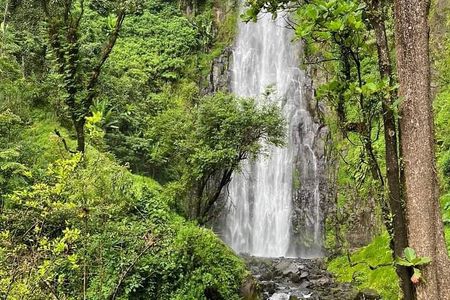 Materuni waterfall , coffee tour and hotsprings (chemka )