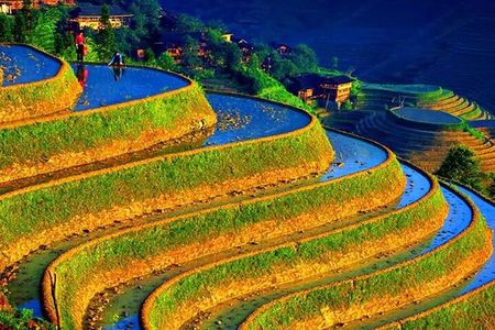 Small Group: Longji Rice Terraces & Minority Village Tour