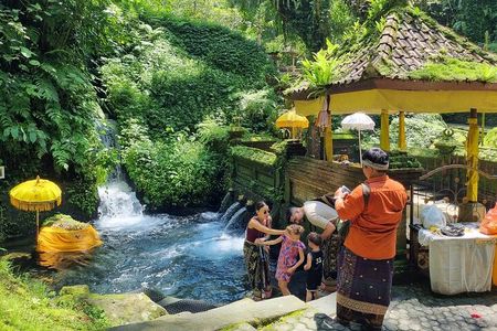 Bali Customizable Multi Language Tour with Driver-Guide