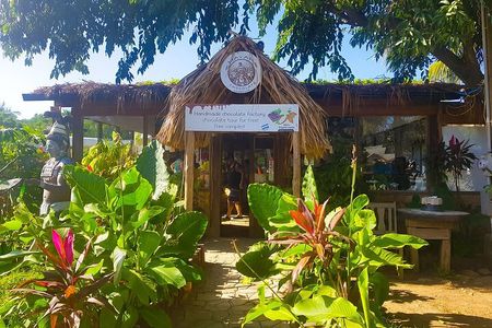 Chocolate Factory,Wildlife Encounter,Sightseeing,Beach in Roatan 