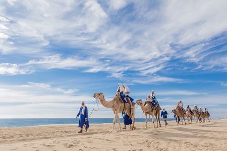 Cabo Camel Ride, Mexican Buffet and Tequila Tasting