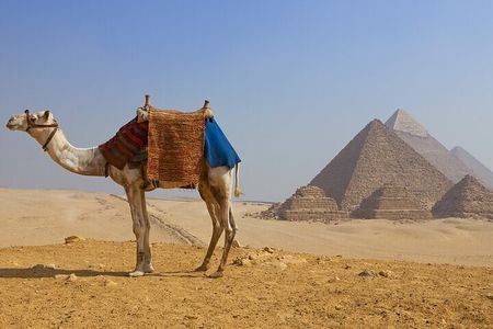 Private Half Day Giza Pyramids Tour with camel & Lunch