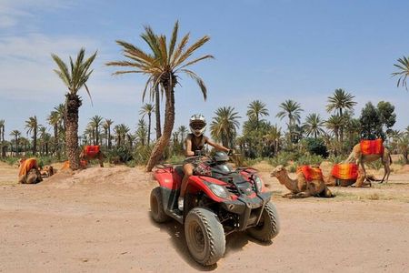 Marrakech: 2-Hour Quad Bike & Camel Ride in Palmeraie