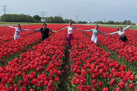 Amsterdam: Day trip to Tulip Farm, Keukenhof + Windmill Cruise