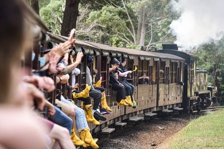 Puffing Billy Steam Train and Penguins Wildlife Tour