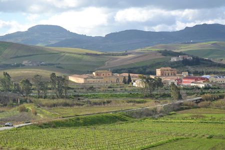 Oil Tour in Historic Baglio Florio Adamo with Lunch