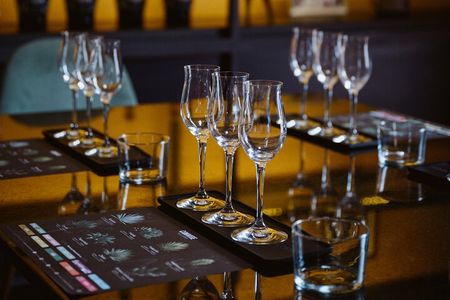 Mezcal tasting guided by an expert