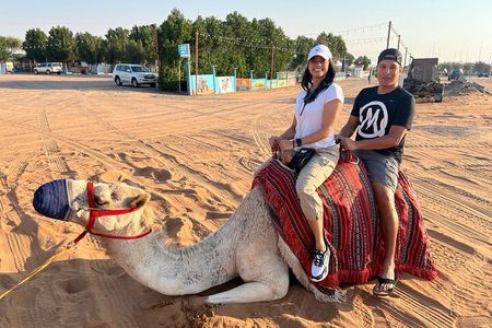 Dubai Red Dunes Safari, Camels, Live BBQ and Live Shows 