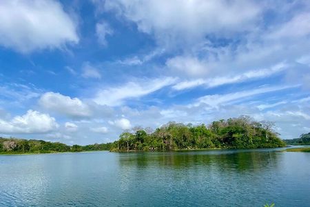 Monkey Watch and Gatun Lake Wildlife Safari Private Tour 