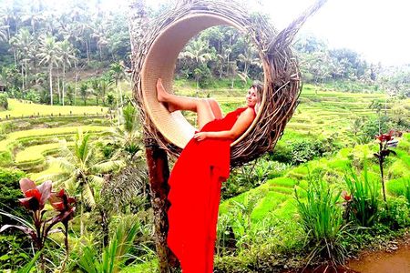 Incredible Day Trip to Ubud