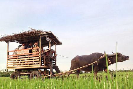 Pu Luong 3-Day Adventure: Trekking, Cycling & Local Cooking Class