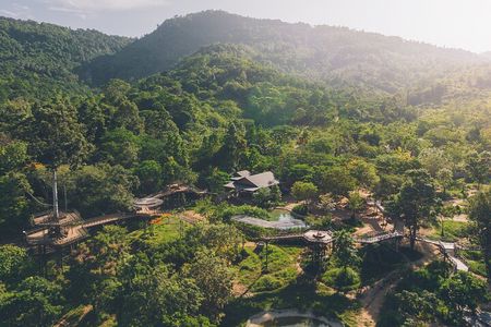 Samui Elephant Kingdom Ethical Sanctuary and Skywalk Tour