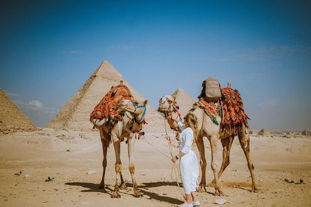 Cairo Stopover-day tour from Cairo airport Visiting Giza Pyramids 
