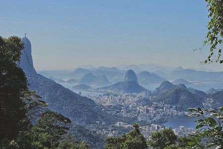 Small-Group Tijuca Forest Guided Tour